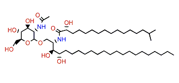 Halicylindroside B3
